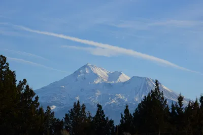 DSC_3044 (Large).JPG